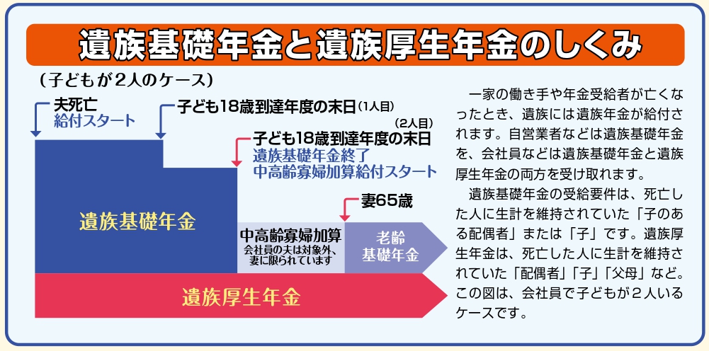 「遺族基礎年金と遺族厚生年金のしくみ」
子どもが2人のケースの図。
夫死亡で遺族厚生年金と遺族基礎年金給付スタート
子ども18歳到達年度の末日(1人目)遺族基礎年金が減額
子ども18歳到達年度の末日(2人目)遺族基礎年金終了、中高齢寡婦加算給付スタート(会社員の夫は対象外、妻に限られています)
妻65歳で中高齢寡婦加算給付終了、老齢基礎年金スタート
遺族厚生年金はずっと続く
一家の働き手や年金受給者が亡くなったとき、遺族には遺族年金が給付されます。自営業者などは遺族基礎年金を、会社員などは遺族基礎年金と遺族厚生年金の両方を受け取れます。 遺族基礎年金の受給要件は、死亡した人に生計を維持されていた「子のある配偶者」または「子」です。遺族厚生年金は、死亡した人に生計を維持されていた「配偶者」「子」「父母」など。この図は、会社員で子どもが2人いるケースです。